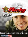 game pic for Nicky Hayden GP